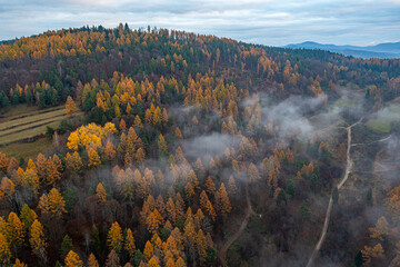Dubne, Góry Leluchowskie, Beskid Sądecki, Karpaty, EU © Maciej G. Szling