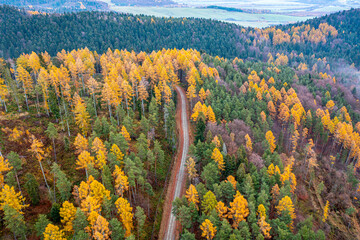 Dubne, Góry Leluchowskie, Beskid Sądecki, Karpaty, EU © Maciej G. Szling