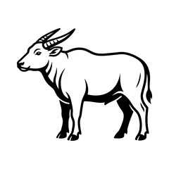 Fototapeta premium An illustration of a standing bull with horns in profile view