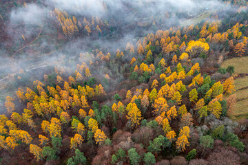 Dubne, Góry Leluchowskie, Beskid Sądecki, Karpaty, EU © Maciej G. Szling