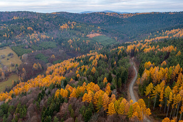 Dubne, Góry Leluchowskie, Beskid Sądecki, Karpaty, EU © Maciej G. Szling