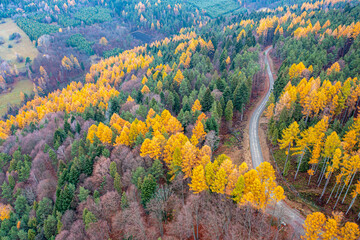 Dubne, Góry Leluchowskie, Beskid Sądecki, Karpaty, EU © Maciej G. Szling