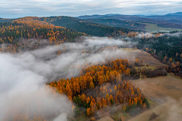 Małopolska, jesień , Góry Leluchowskie, Karpaty © Maciej G. Szling