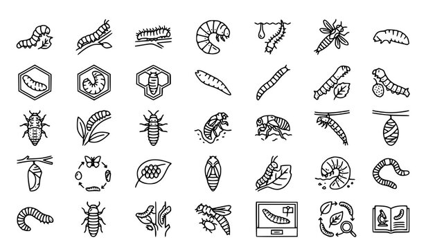 Larva Icon Collection Editable Stroke Vector Line Art Featuring Caterpillars Grubs and Insect Life Cycles