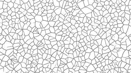 Obraz premium Abstract Voronoi diagram pattern with irregular polygonal cells in black and white vector graphic design element