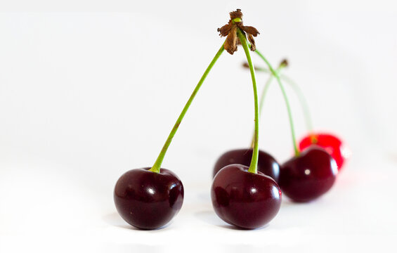 Ripe black cherry on white background, macro close-up, cherry wood, garden.