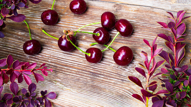 Ripe black cherry on wooden board, macro close-up, cherry wood, garden.