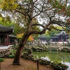 Naklejka premium Ancient Twisted Tree Overlooking Tranquil Pond in Traditional Chinese Garden