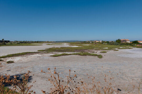 &Eacute;tang littoral ass&eacute;ch&eacute; par la s&eacute;cheresse estivale avec terre craquel&eacute;e et v&eacute;g&eacute;tation en Camargue pr&egrave;s de Montpellier.