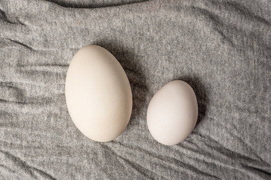 The close-up of big white duck's egg and white chicken egg on a grey cloth background