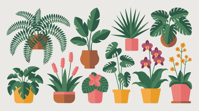 Set of various indoor houseplants in colorful ceramic pots showcasing different leaf shapes and beautiful flowering varieties.