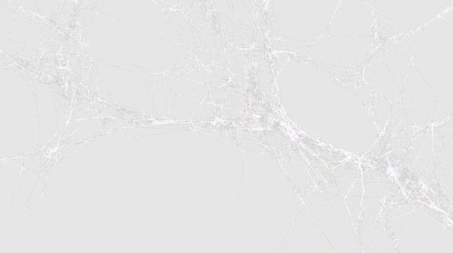 Web pattern on transparent background with thin strands and varying shapes