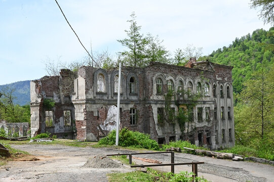 An abandoned building surrounded by wild trees and greenery