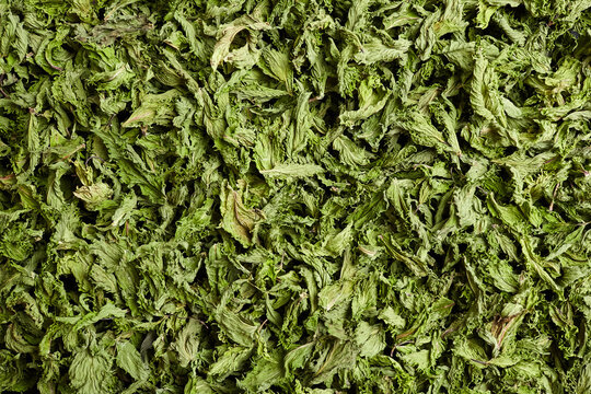 Dried mint leaves arranged in a flat layer, showcasing their vibrant green color and texture, ideal for herbal tea preparation or culinary use