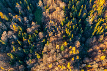 Małopolska, jesień , Góry Leluchowskie, Karpaty © Maciej G. Szling
