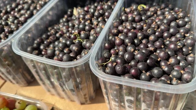black currants at the market. Fresh Black Berries Background, Perfect for Smoothies, Healthy Recipes, and Antioxidant Snacks