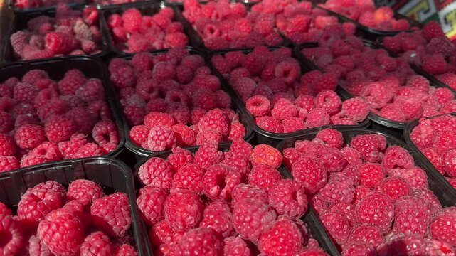 raspberries at the market. Rows of full pints of red raspberries at a farmers market or outdoor produce store. Organic fruit with antioxidants.