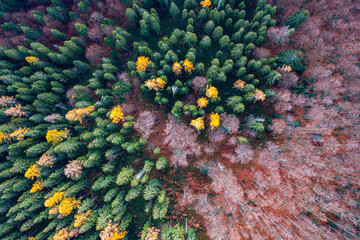 Małopolska, jesień , Góry Leluchowskie, Karpaty © Maciej G. Szling