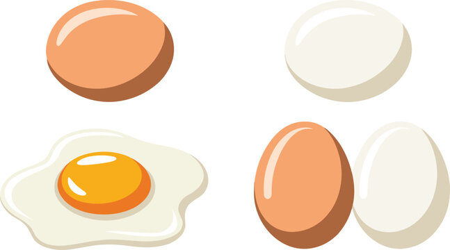 Egg illustration vector set featuring whole raw brown and white chicken eggs with a fried sunny-side-up version for breakfast menu graphic designs