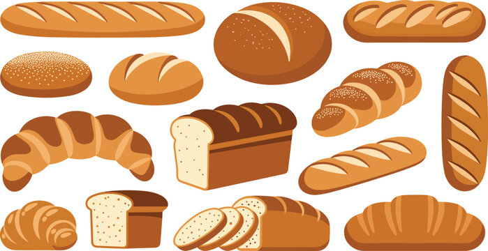 Bread vector illustration set featuring French baguettes sandwich loaf slices golden croissants braided buns and bakery products for menu branding