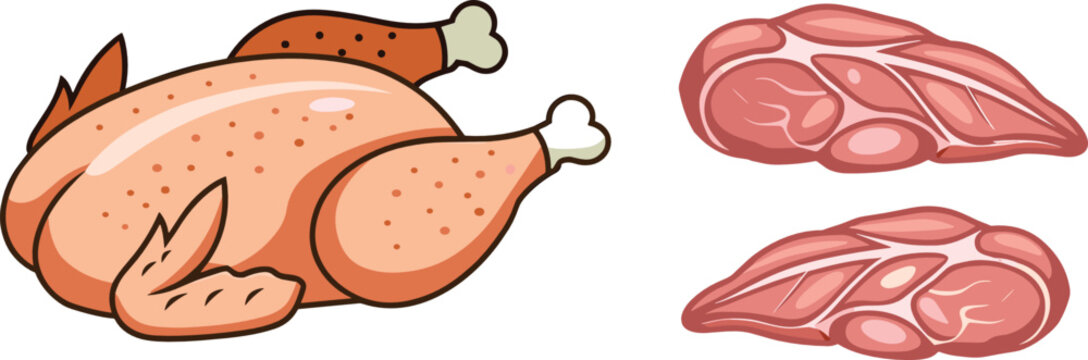 Chicken vector collection featuring a whole raw carcass bird with fresh boneless skinless breast fillets for butchery meat packaging and roasting recipes
