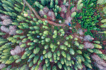 Małopolska, jesień , Wierchomla, Beskid Sądecki, Karpaty © Maciej G. Szling