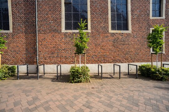 Empty bike rack with planters beside a brick wall in a city setting during daytime