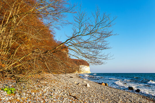 Kreidefelsen im Herbst an der K&uuml;ste der Ostsee auf der Insel R&uuml;gen
