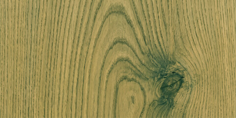 Detailed close-up of a wooden surface with a prominent knot, showcasing the natural grain and texture of the material in a muted, earthy tone. © QUALITY BOOST