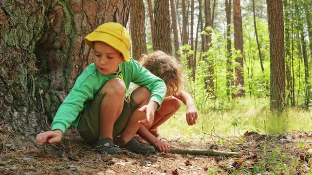Two children are near a large tree in the forest. One child sits on the ground looking closely at the soil while the other plays nearby among the plants