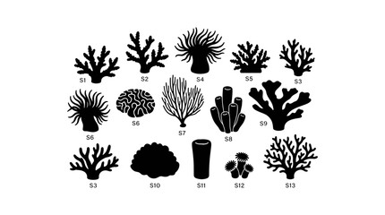 Coral Reef Plants and Seaweed Silhouettes Set with Diverse Shapes and Textures for Creative Design Backgrounds © MstFiroza