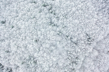 Beskid Sądecki, Hala Łabowska, Małopolska, Zima, Sądeckie, © Maciej G. Szling