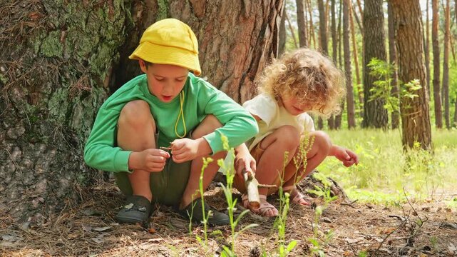 Two children sit together near a tree in a forest. One child examines a small item while the other plays with a stick, engaged in nature