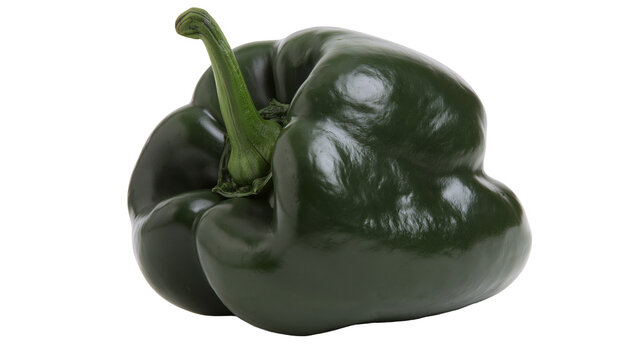 Dark green poblano pepper with stem