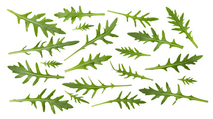 Fototapeta premium Green arugula leaves scattered on white