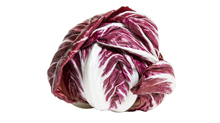 Obraz premium Radicchio lettuce with deep red and white leaves