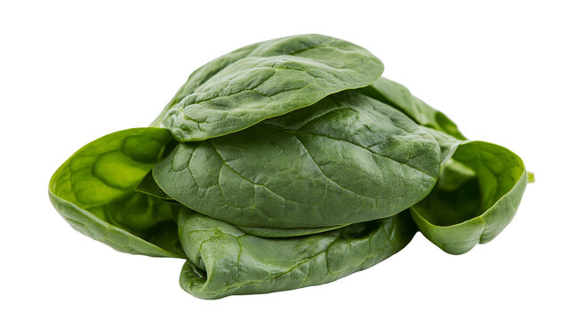 Fresh green spinach leaves pile