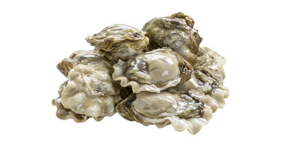 Fresh raw oysters pile, close-up view © Patricia