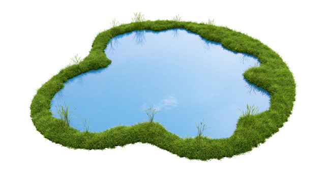 Pond with green grass border and blue water