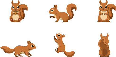 Fototapeta premium Set of cute cartoon squirrel characters in different poses isolated on a white background for design projects