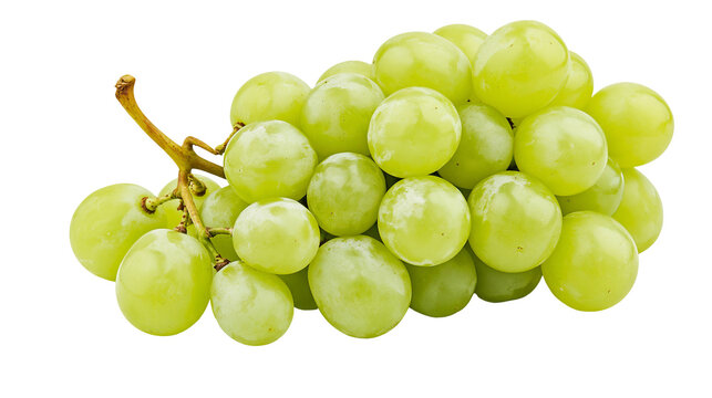 Bunch of ripe green grapes on a stem