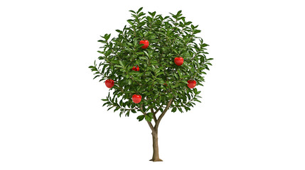 Small apple tree with red fruits and green leaves © Pablo