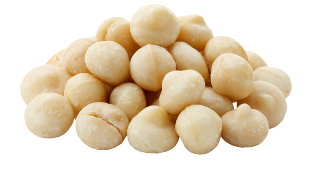 Pile of shelled macadamia nuts
