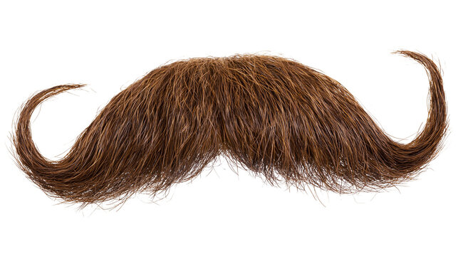 Brown bushy handlebar mustache with curled ends