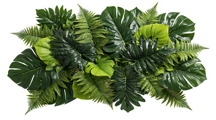 Tropical jungle foliage arrangement with monstera and fern leaves © Paula