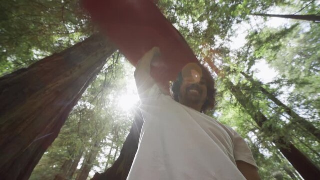Man Waving Red Painted Board Overhead in Redwood Forest With Low Angle