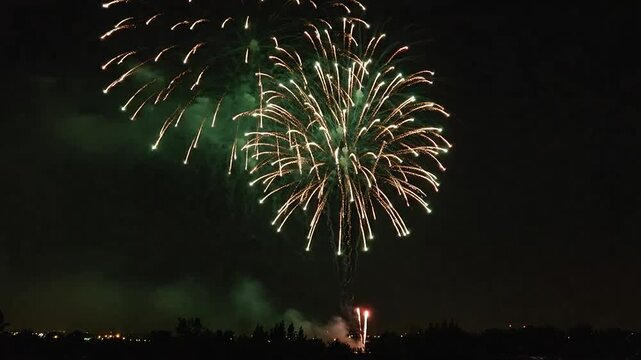 Colorful fireworks exploding in dark night sky.