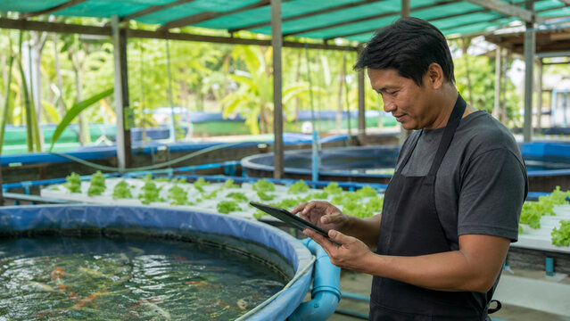 Indoor aquaponics farm using AI water monitoring for sustainable food