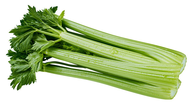 Fresh green celery stalks with leafy tops