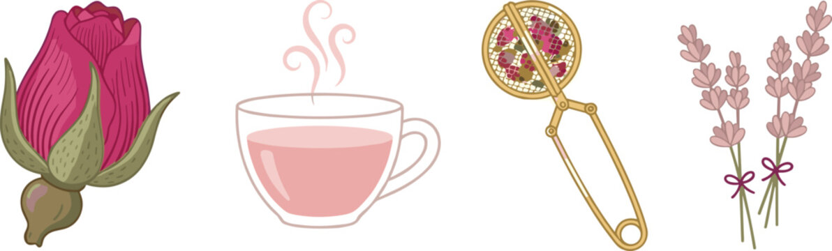 Herbal rose tea vector illustration set with fresh rosebud hot pink tea cup golden mesh infuser tongs and dried lavender sprigs isolated on white background